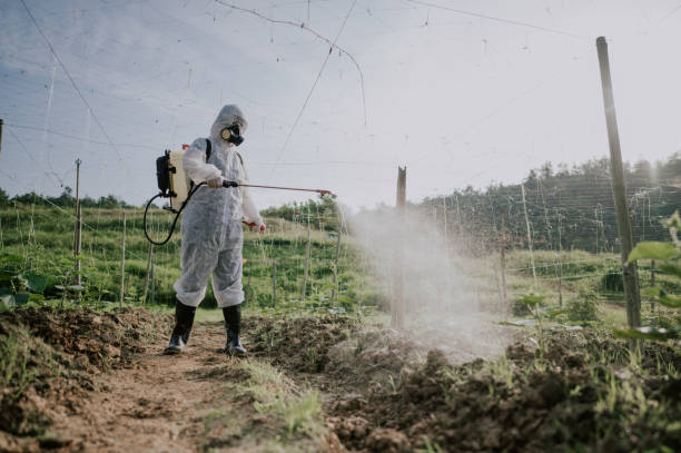 Best Pest Prevention Services  in Aberdeen, WA